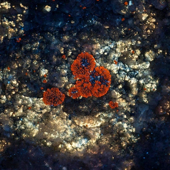 Meet your Posher, Stephanie - Picture 1 of 1